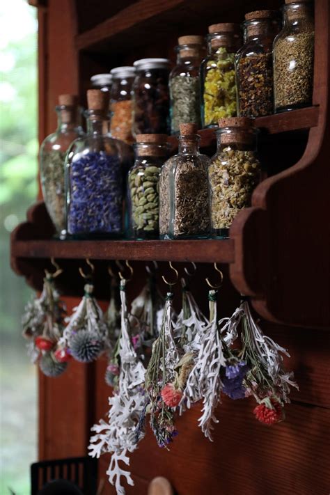 Enhancing Your Intuition with an Indoor Witch Garden